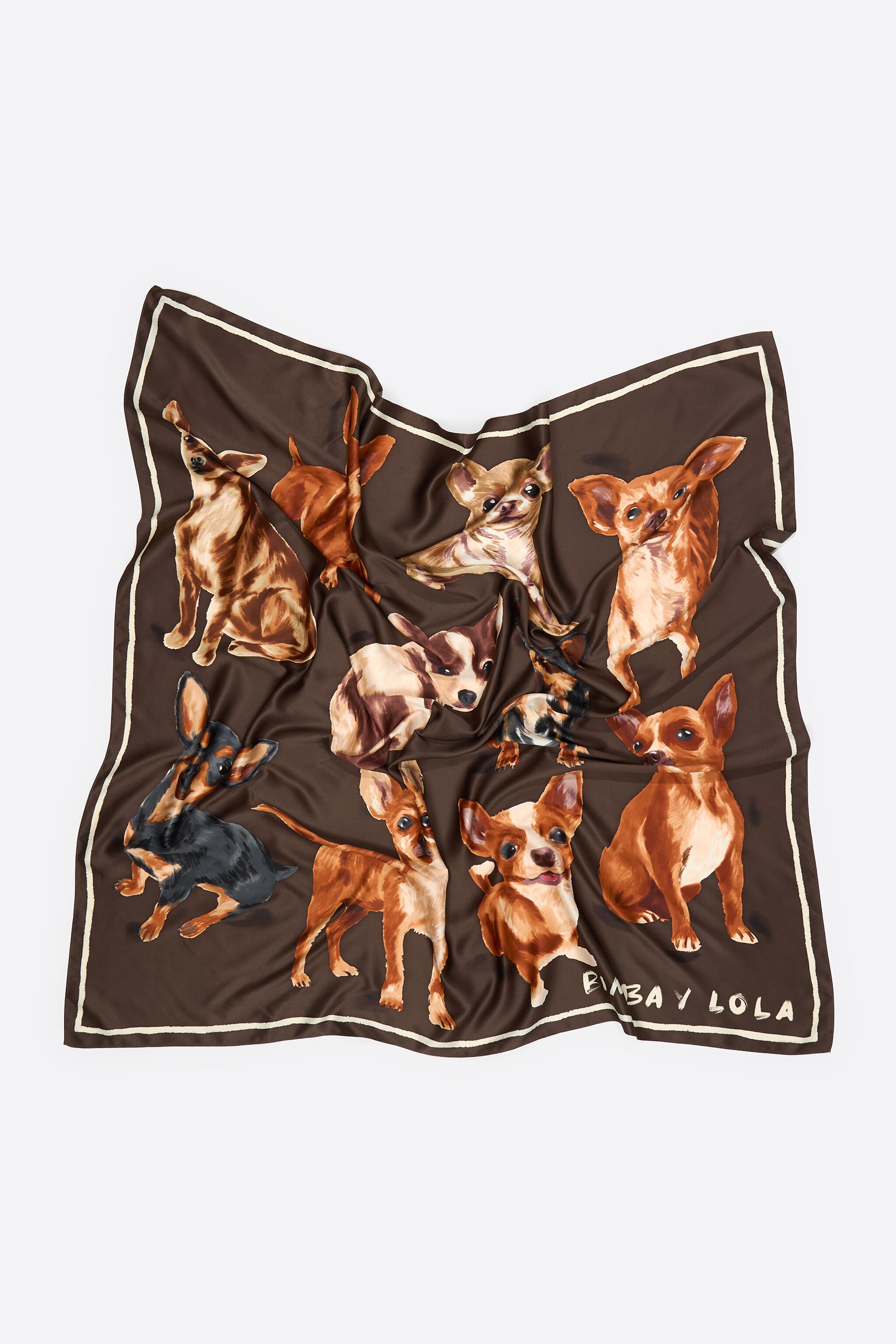 Brown Chihuahua scarf