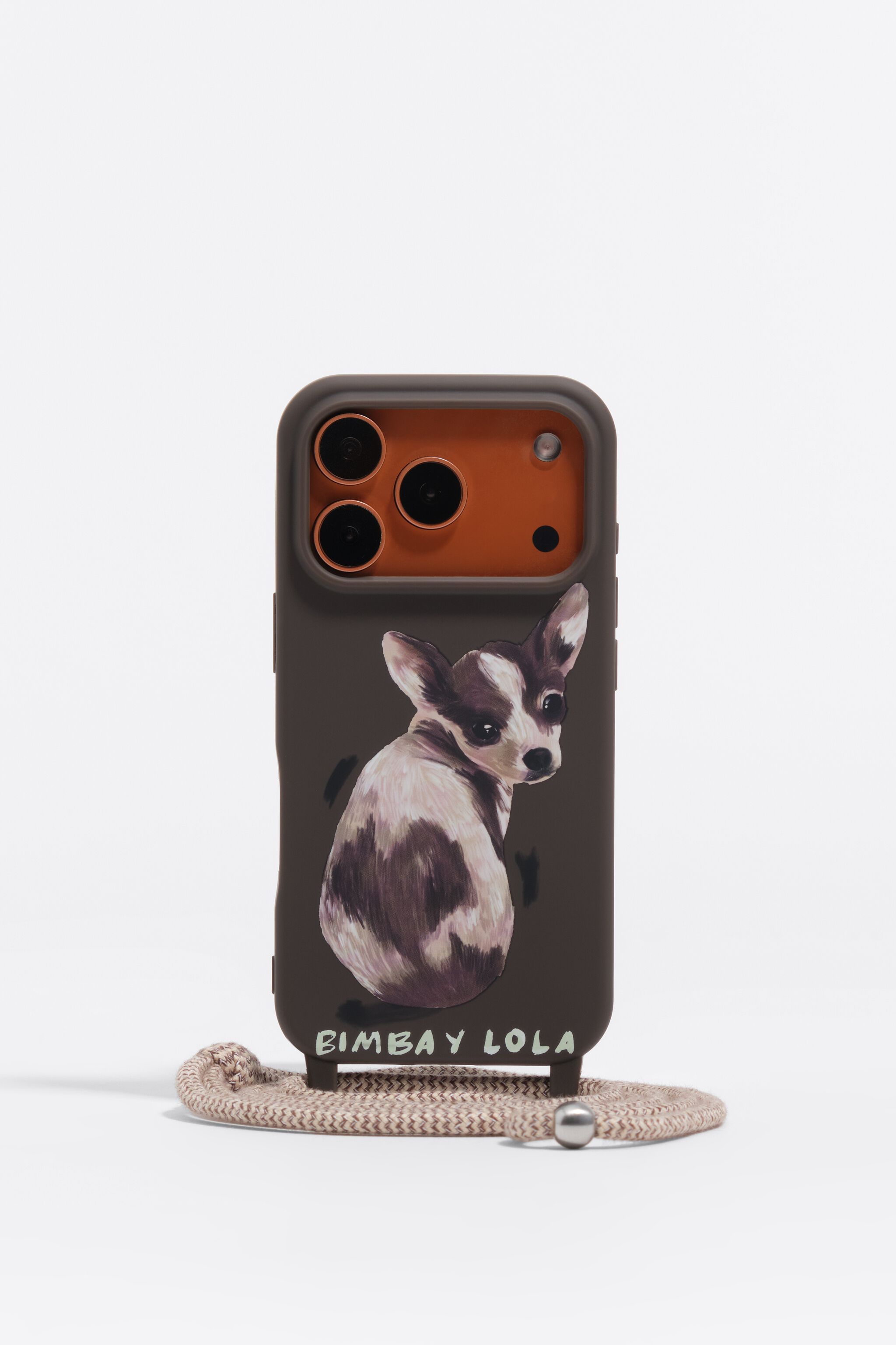 Chocolate chihuahua iPhone 17 PRO hard case