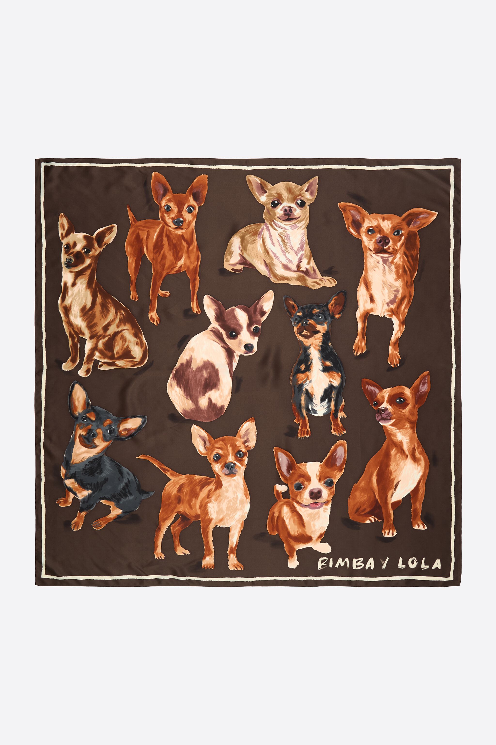 Brown Chihuahua scarf